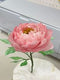 aug 13 class: ENJOYIE (wafer paper flowers)