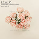 Paper Flowers