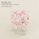Paper Flowers