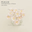 Paper Flowers