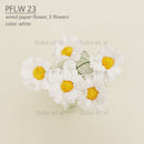 Paper Flowers