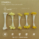stamen L