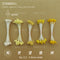 stamen L