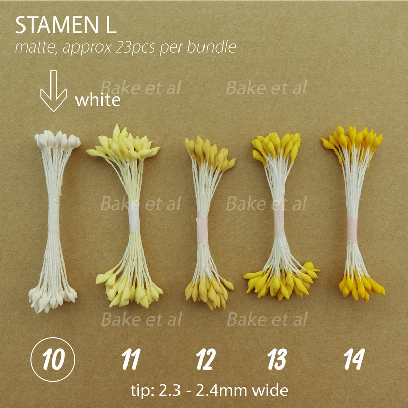 stamen L