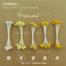 stamen L