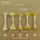 stamen L