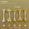 stamen L