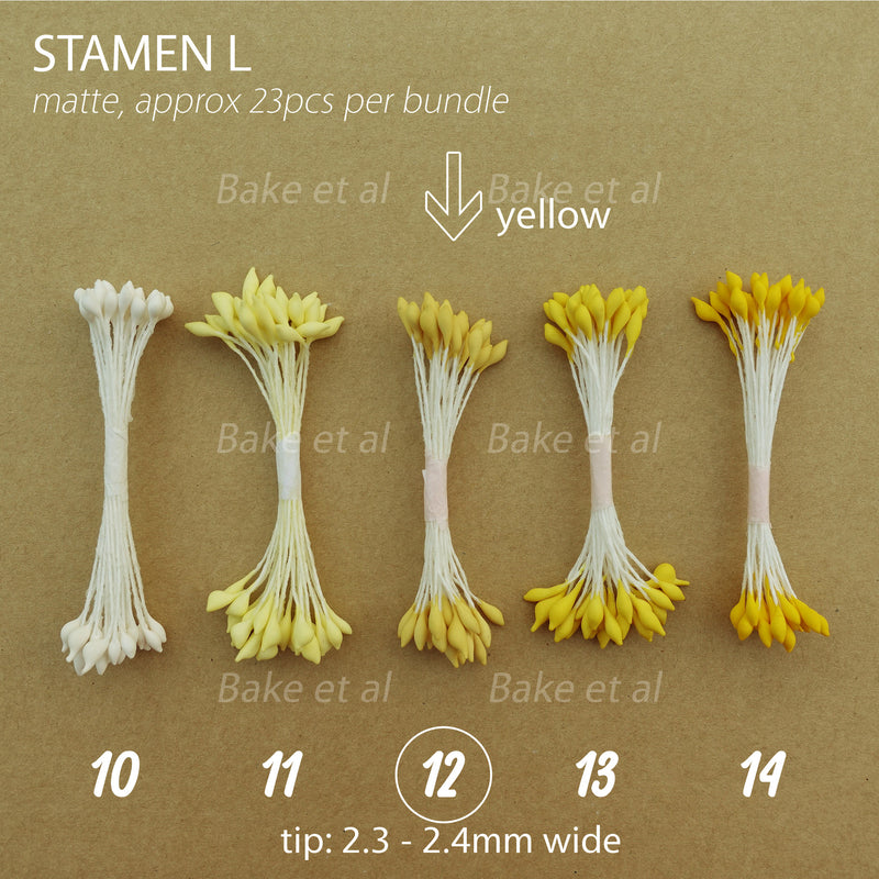 stamen L