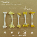 stamen L
