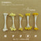 stamen L