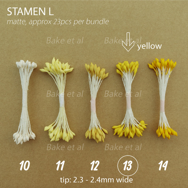 stamen L