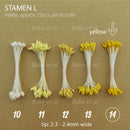 stamen L