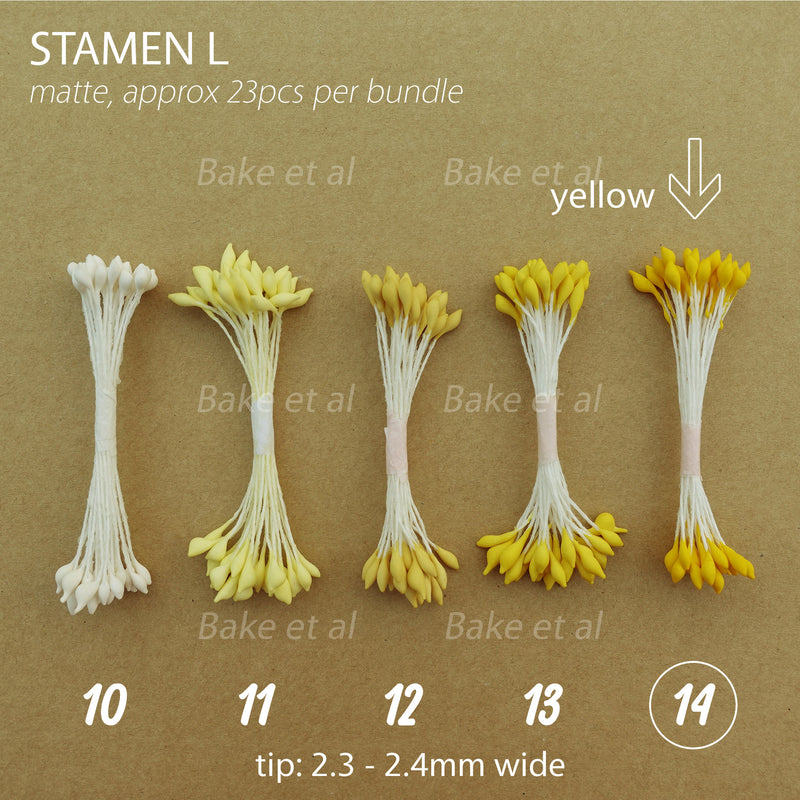 stamen L