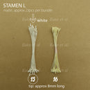 stamen L