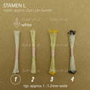 stamen L