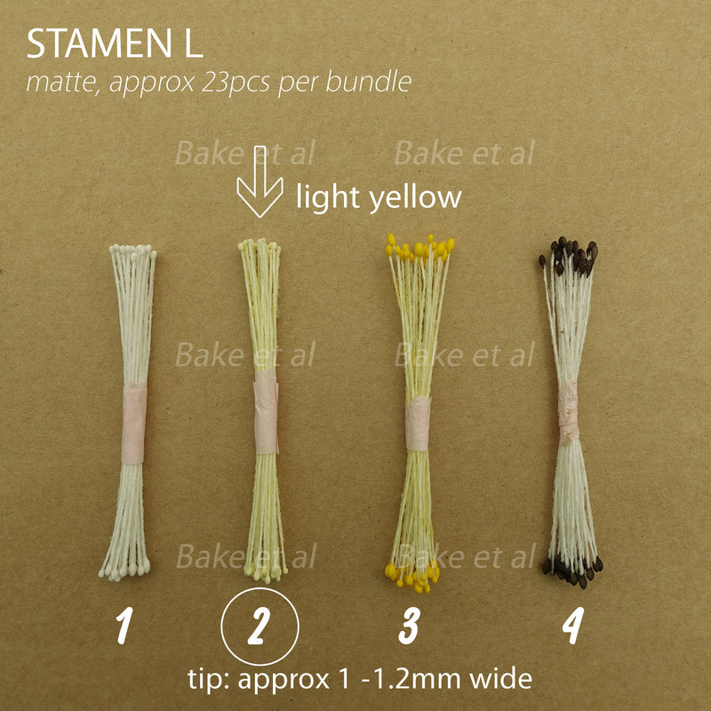 stamen L