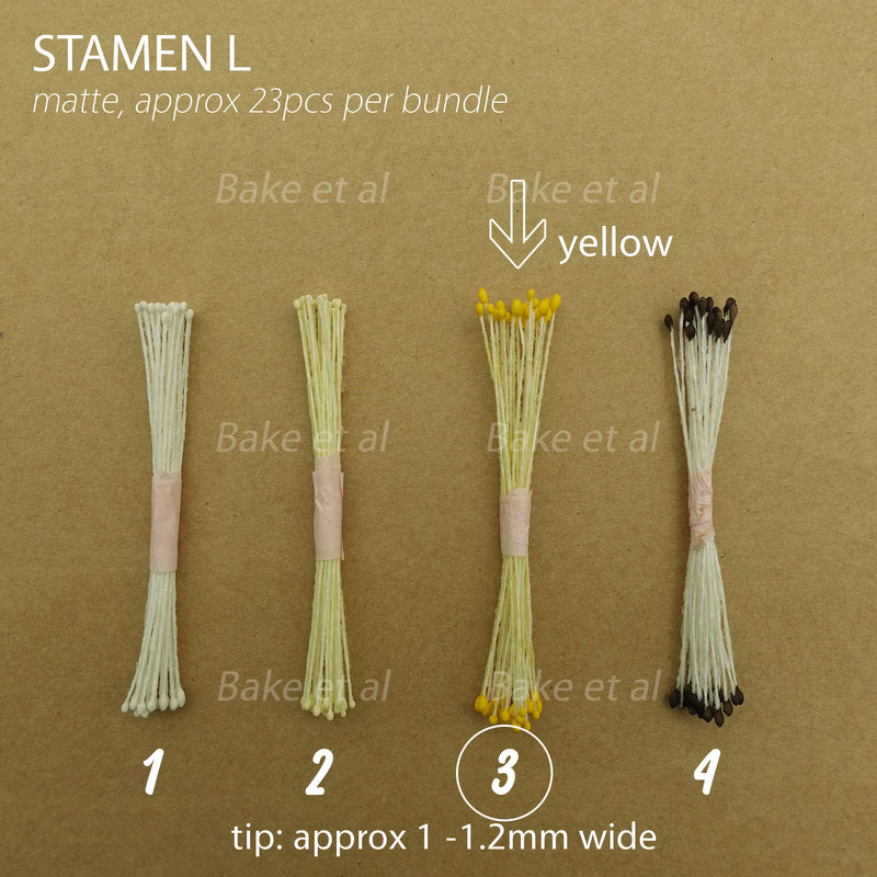 stamen L