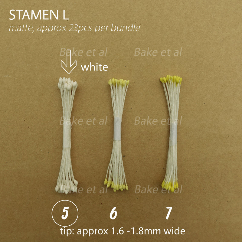 stamen L
