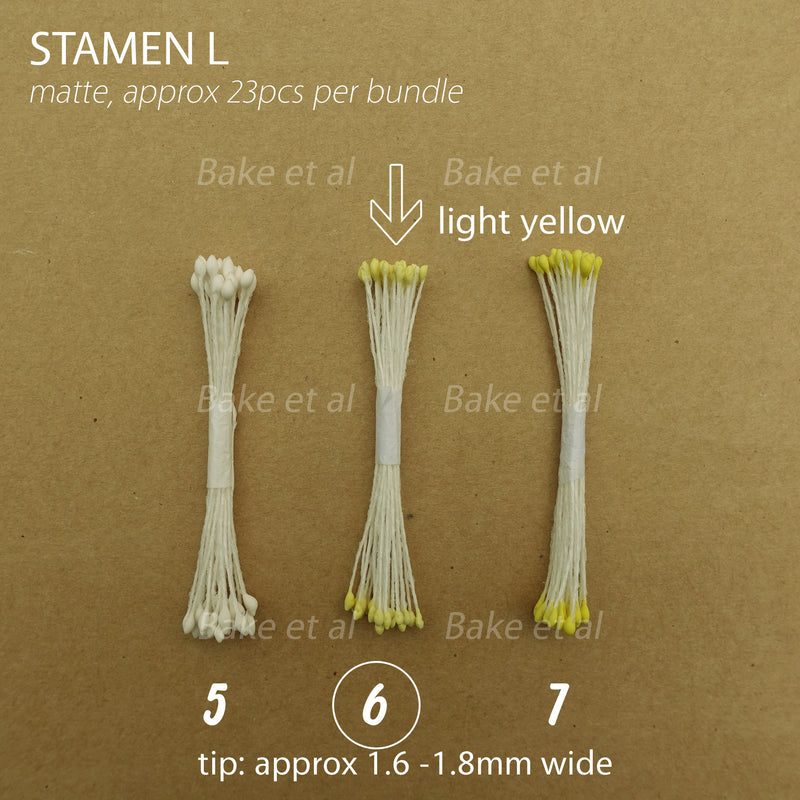 stamen L