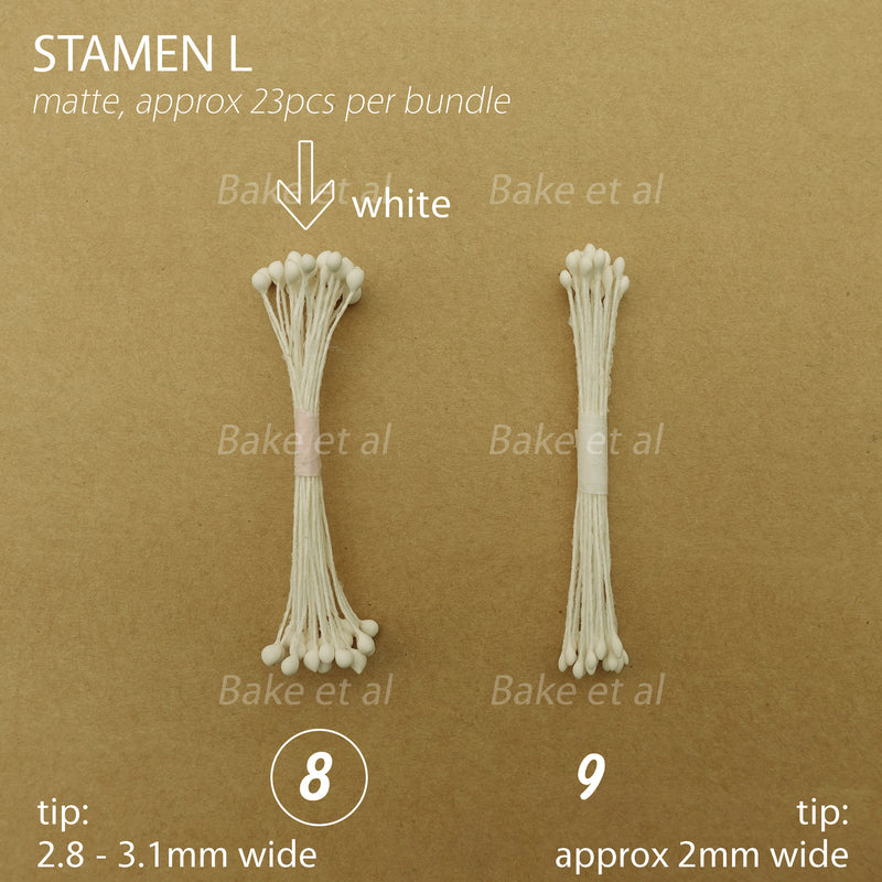 stamen L