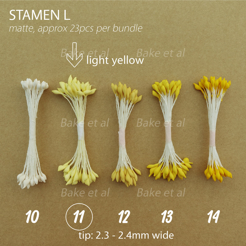 stamen L