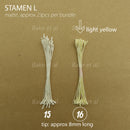 stamen L