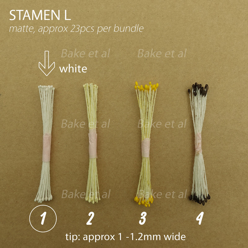 stamen L