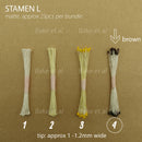 stamen L