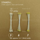 stamen L