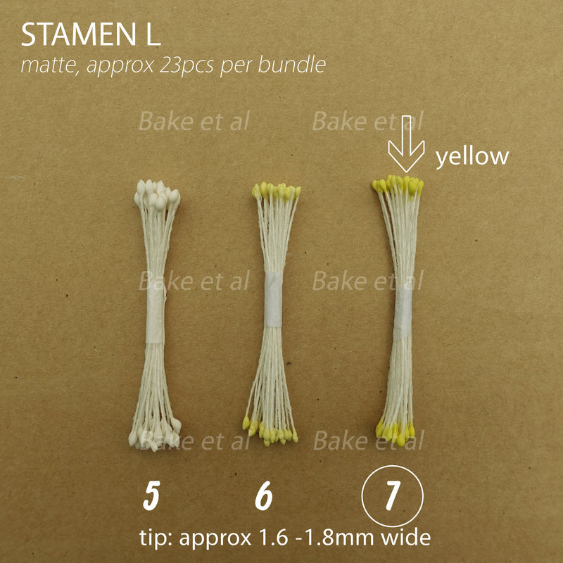 stamen L