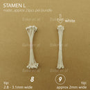 stamen L
