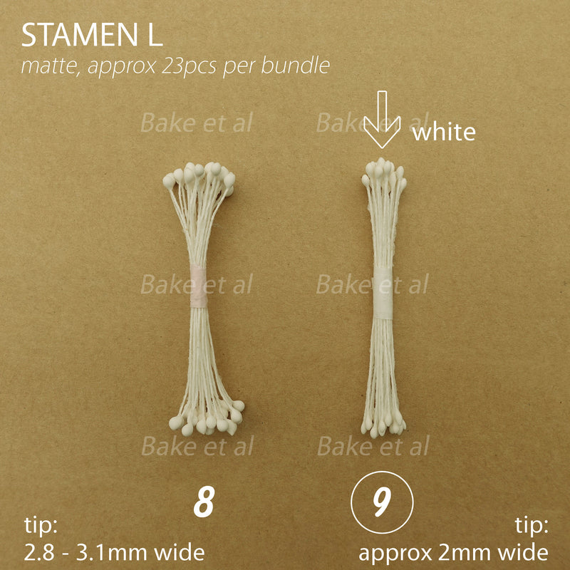 stamen L