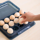 egg tray / case