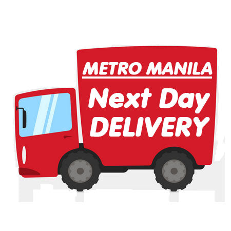 metro manila next day delivery